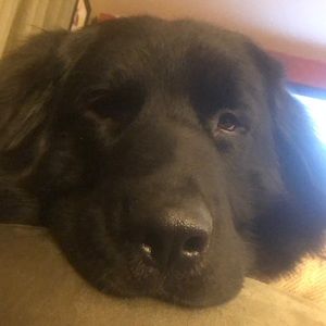 Meet your Posher, Kelvin